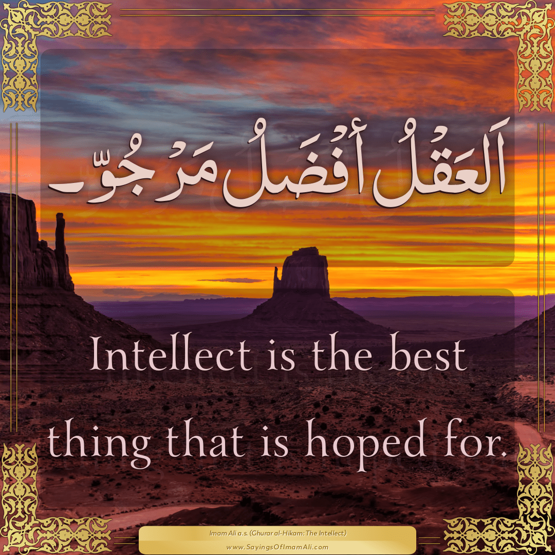 Intellect is the best thing that is hoped for.